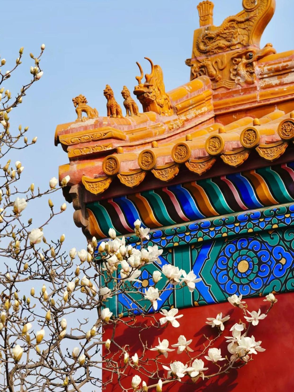 Happy Dragon Courtyard- Newly Renovated With French Windows, Near Tian'Anmen Forbidden City,Lama Temple And Heaven Temple, 3Minutes Walk From Subway,Fluent English Speaking With Tourist Sights Tickets Service ,Free Coffee &Laundry Service Beijing Eksteriør bilde